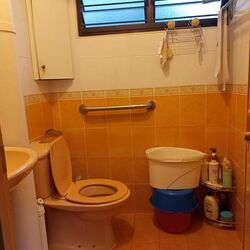 Blk 69 BLANGAH GARDEN (Bukit Merah), HDB 4 Rooms #472659411